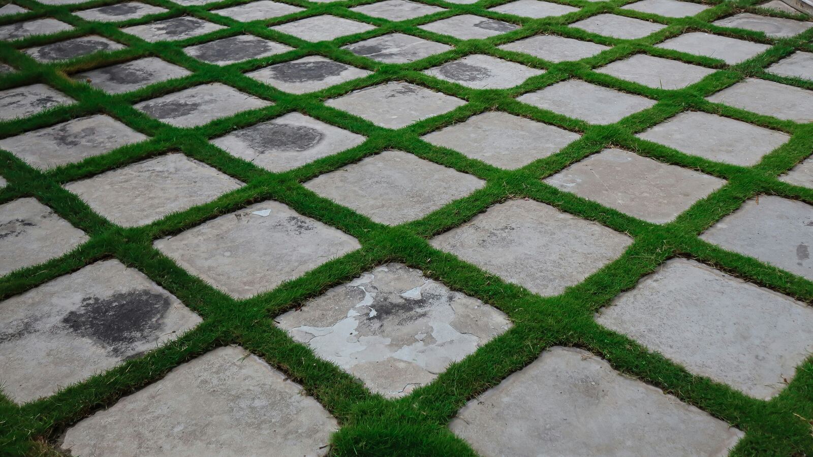 Turf and paver grid pattern in a backyard