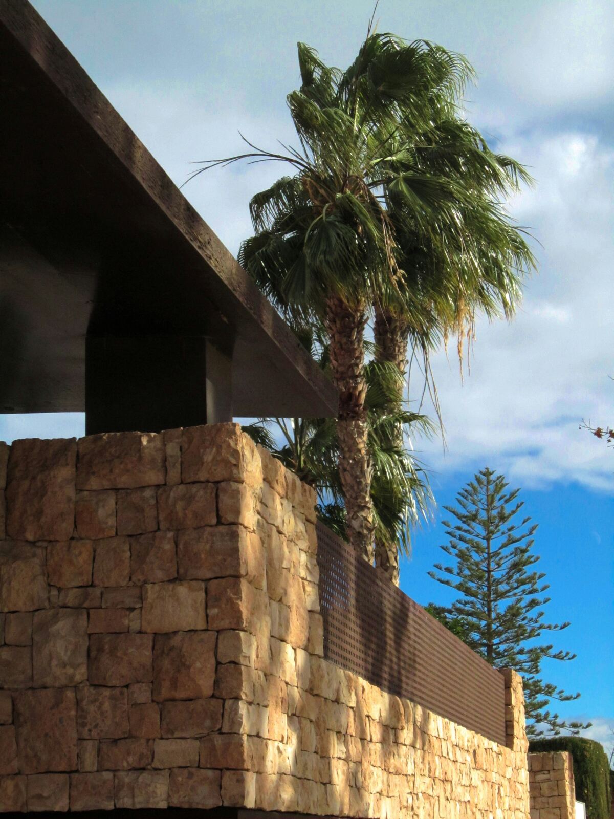 Stone hardscaping wall with a palm tree, Arizona backyard